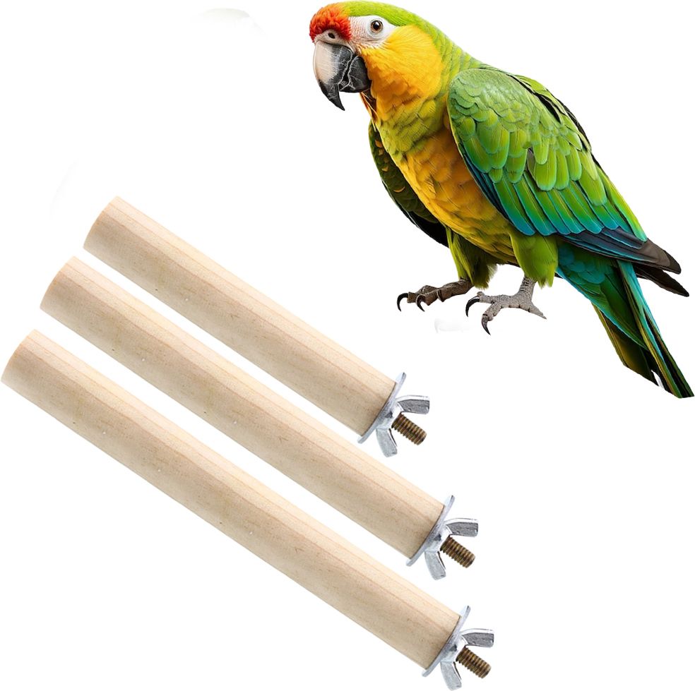sage square Wood Perch Set of 4, 6 & 8 inches for bird play, exercise - For parrot, budgies Wooden Perch, Training Aid, Stick For Bird-picture-18