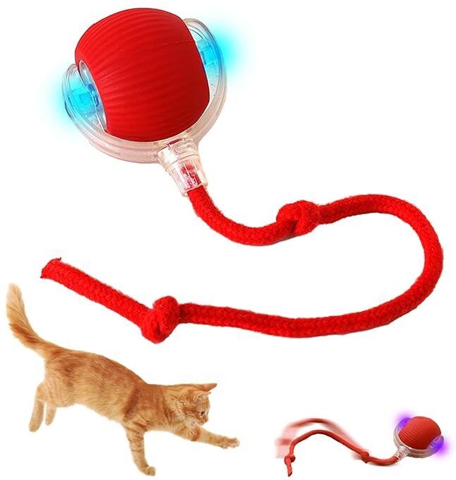 Pet Laser Toy
