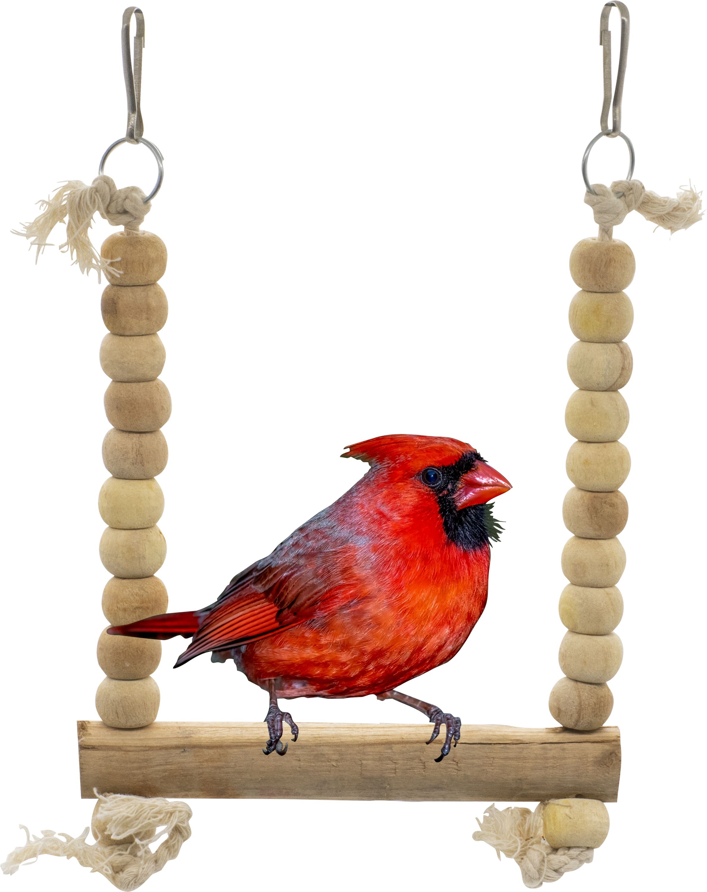 petzoo Wooden Beaded Bold Perch Bird Perch Chew Toy Cage Accessory For Bird Resting Toy Wooden Chew Toy, Training Aid, Perch For Bird-picture-37
