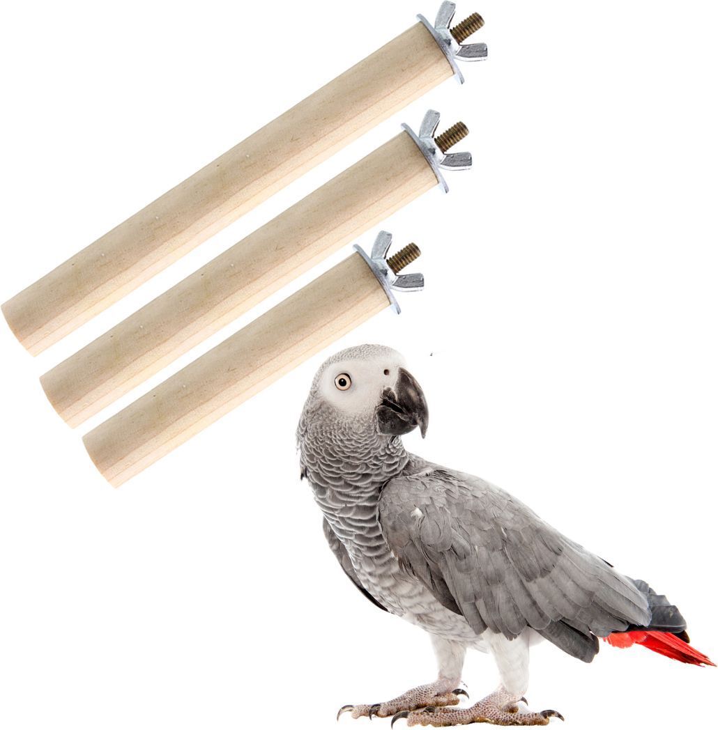 sage squaree Wooden Perch, Training Aid, Stick For Bird-picture-38