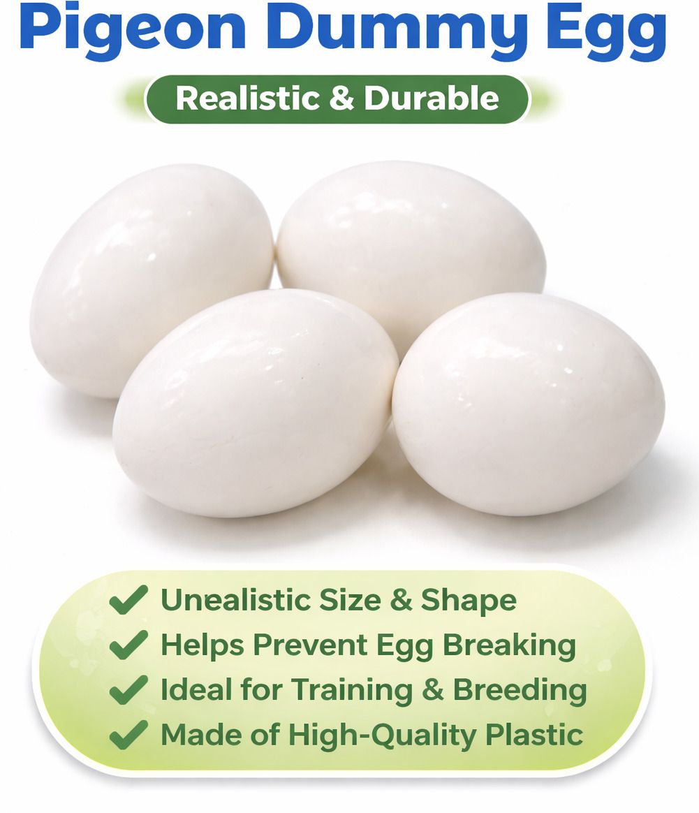 indiana petscare Plastic Tough Toy For Bird-picture-15