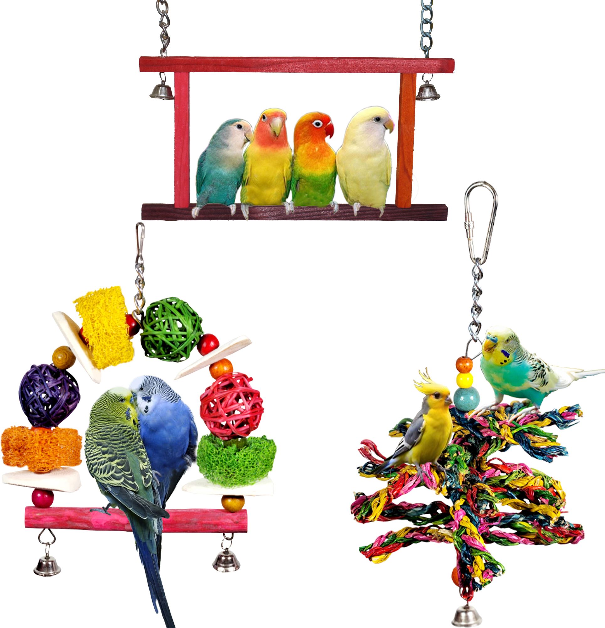 ADDY BIRD TOY | Set of 3 | Cuttlebone | Bird Treat | Foraging | Wooden Perch, Bone, Chew Toy, Ball, Stick, Training Aid For Bird-picture-34