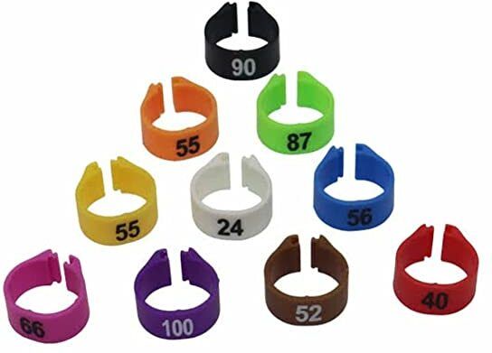 g p s 50 Pcs Pigeon Clip Rings Plastic Training Aid For Bird-picture-29