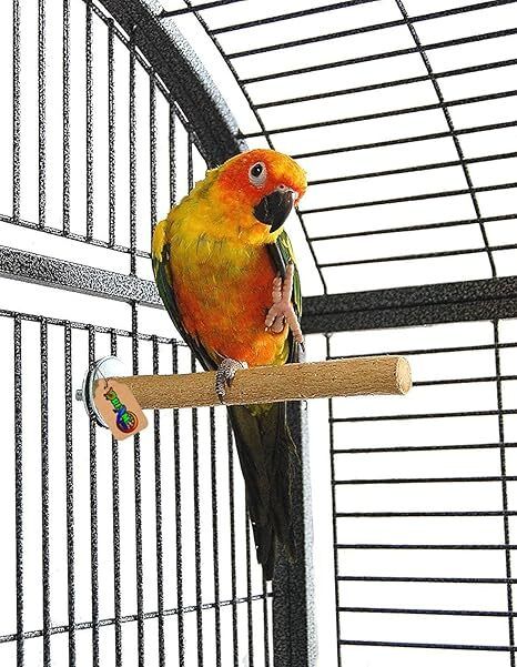 dreamauro Wooden Training Aid, Stick, Perch For Bird-picture-21