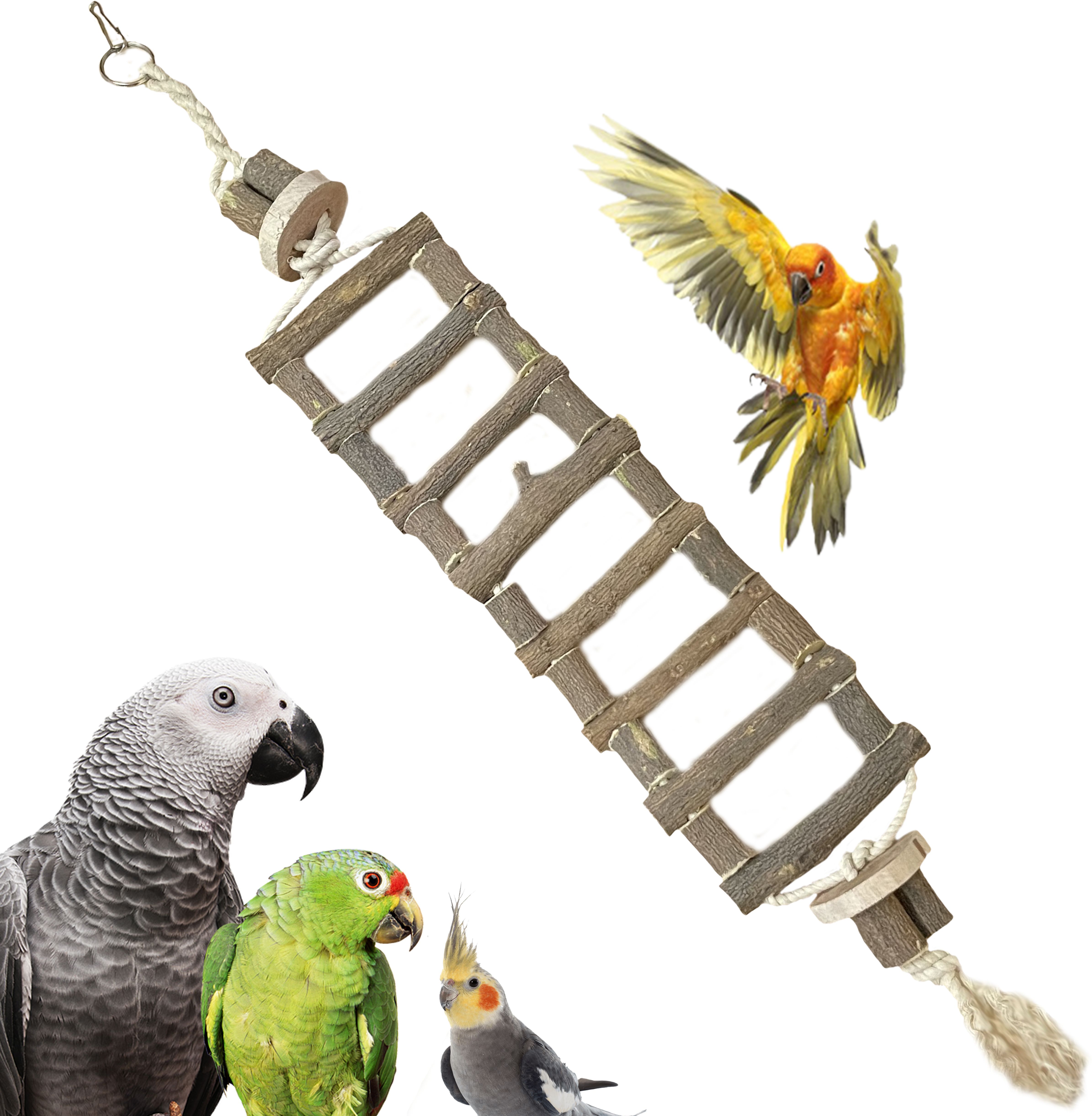 congo natural parrot treat Wooden Ladder Bridge Made Wooden Chew Toy For Bird-picture-30
