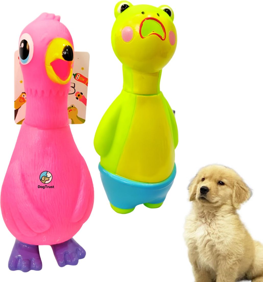 dogtrust Combo Latex Squeaky Toy for Dogs| Natural Rubber for Puppy(Pack of 2) Silicone Squeaky Toy For Dog & Cat-picture-17