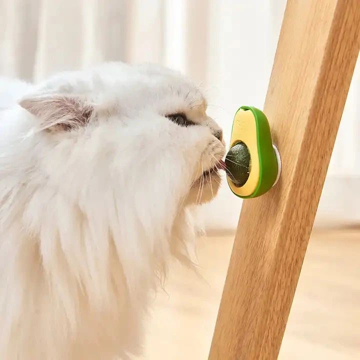 yms Interactive Cat Toy Cat Nip Silvervine Mint Cat Lickable Treat Cat Dental Toy Plastic, PP (Polypropylene) Soft Toy, Training Aid For Cat-picture-22
