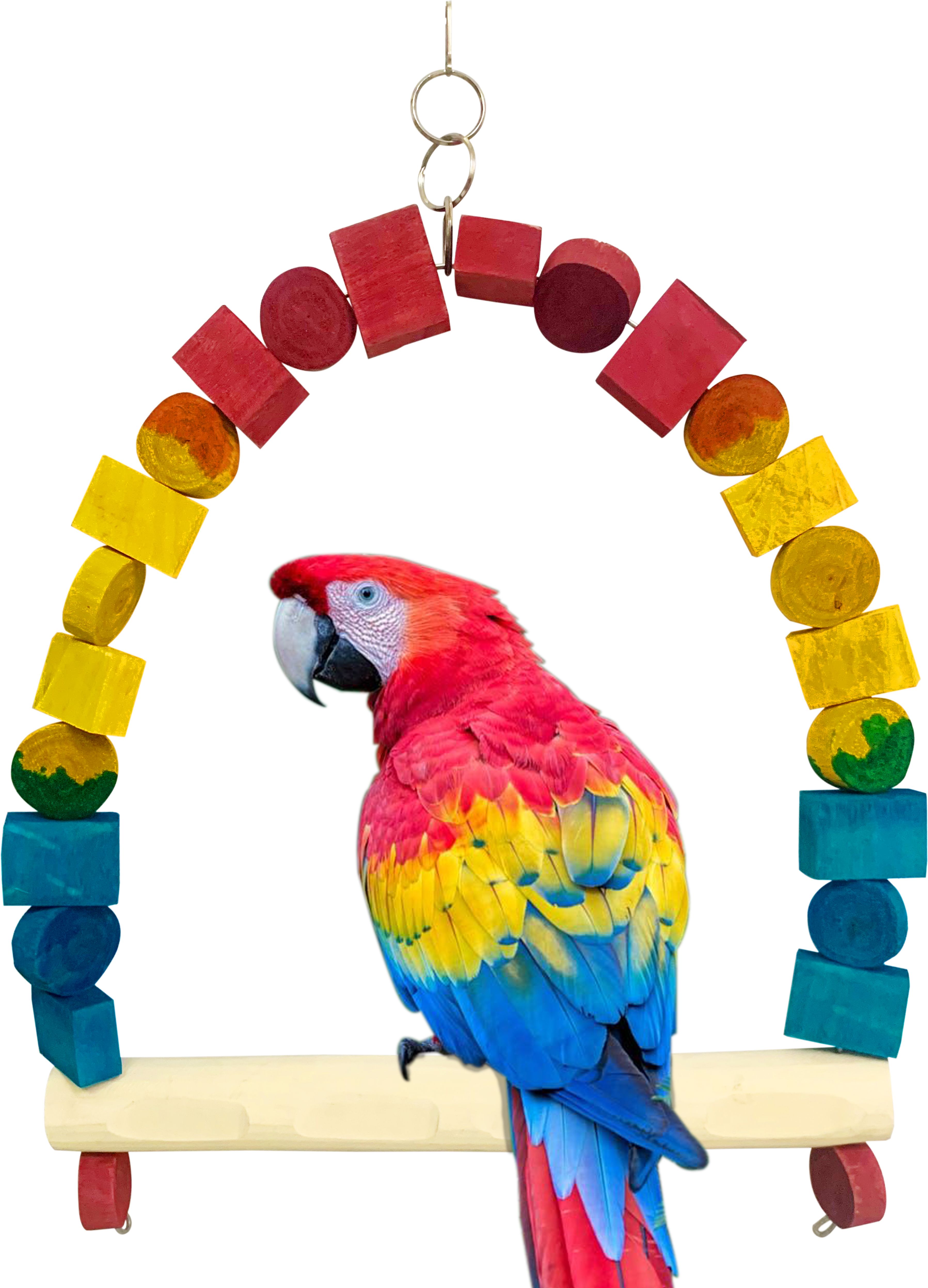 congo natural parrot treat 78X50cm Scarlet Macaw Colour Swing for Macaws Wooden Tough Toy For Bird-picture-12