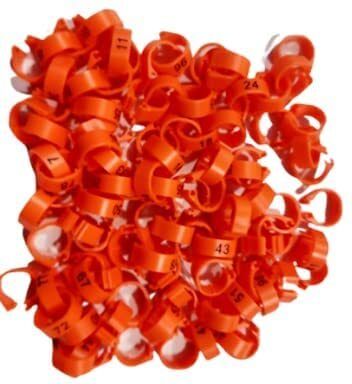 g p s 50 Pcs Pigeon Clip Rings - Orange Color Plastic Training Aid For Bird-picture-15