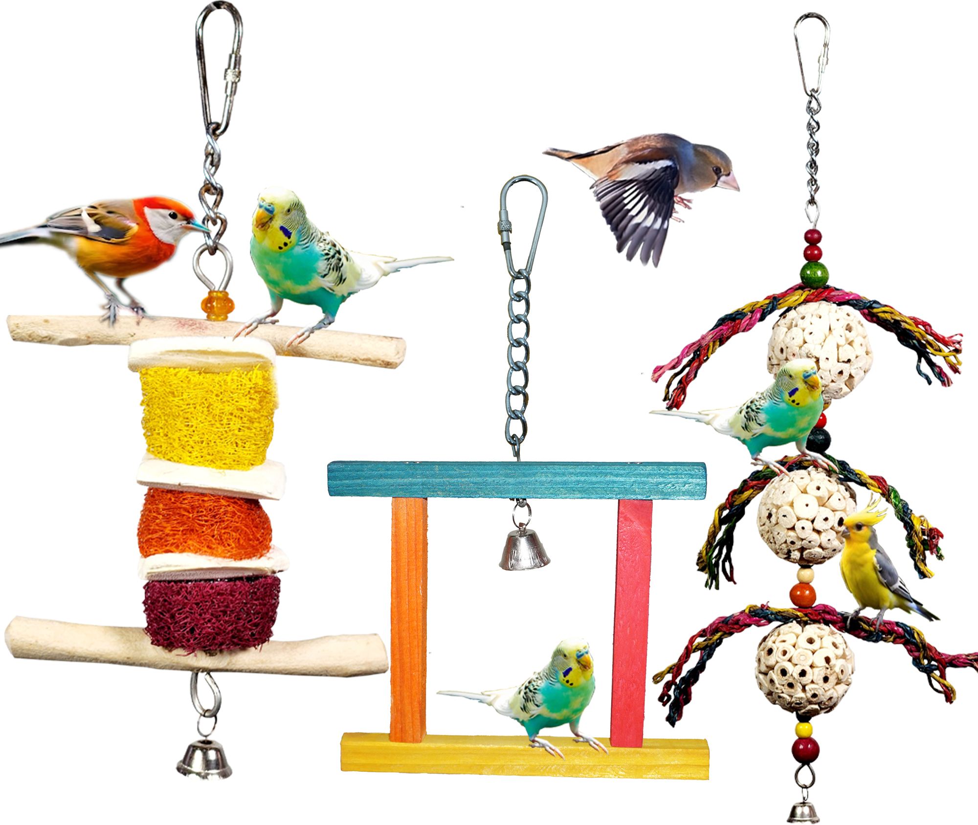 ADDY BIRD TOY | Set of 3 | Cuttlebone | Bird Treat | Foraging | Wooden Perch, Bone, Ball, Chew Toy, Stick, Training Aid For Bird-picture-23
