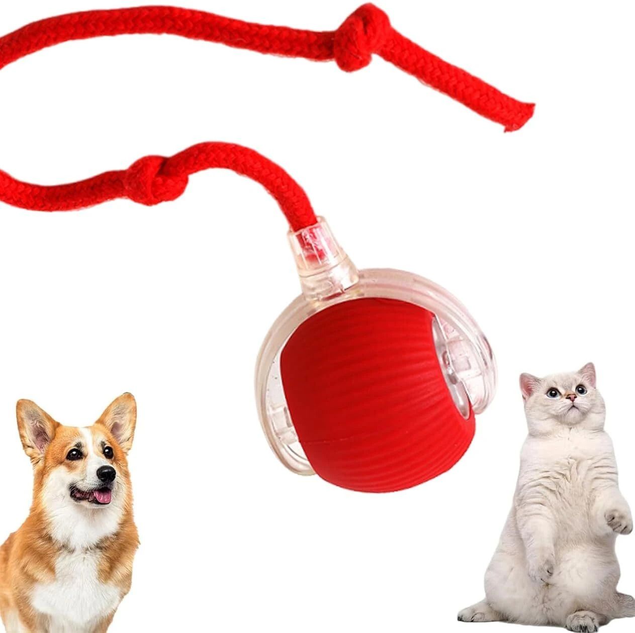 Rolling Cat Toy,Rolling Dog Toy,Smart Pet Ball Toy Automatic- Plastic Ball For Dog & Cat-image-15