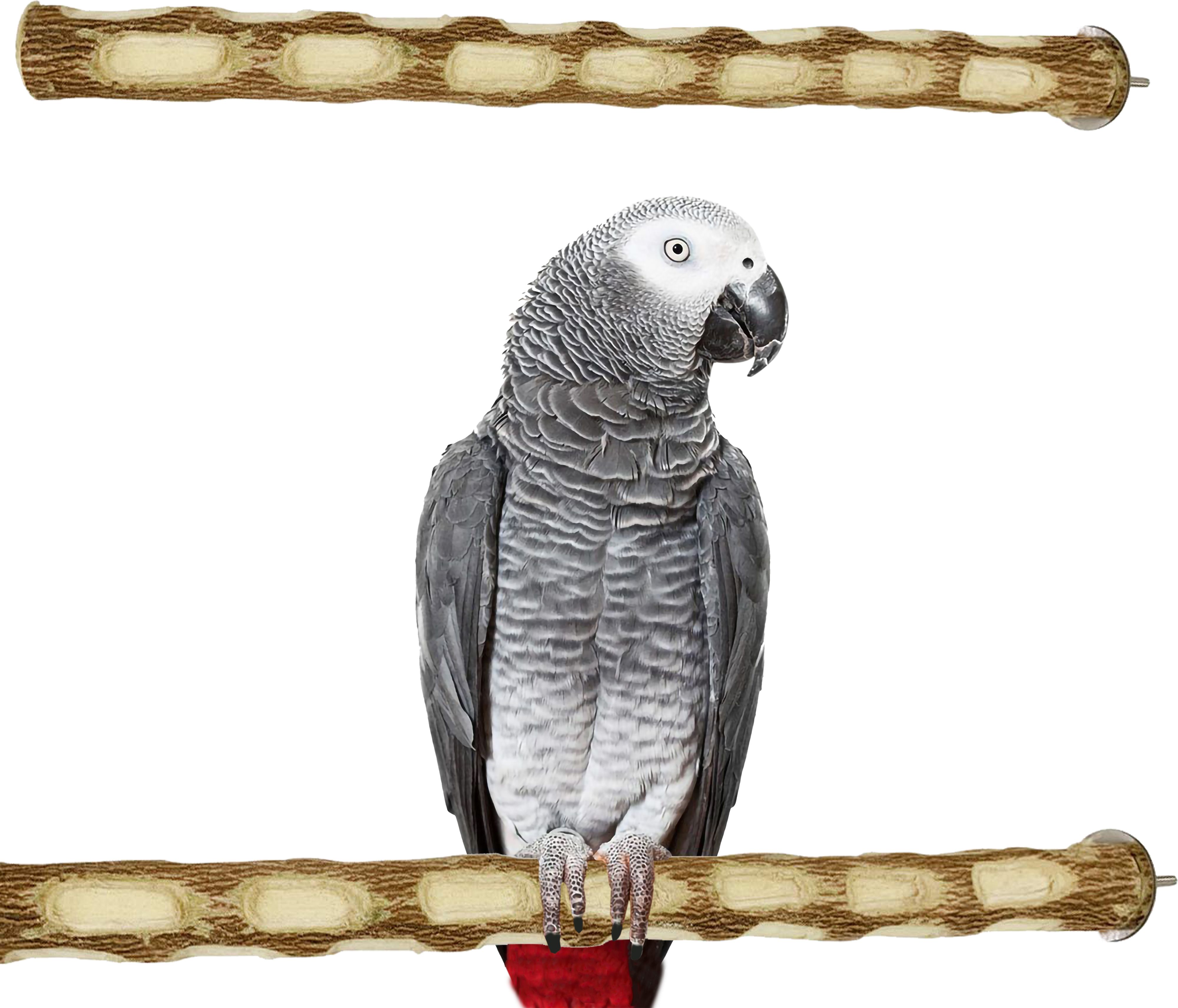 congo natural parrot treat 18 inch Dotted Perch Natural Rough For Big Birds Wooden Perch For Bird-picture-13