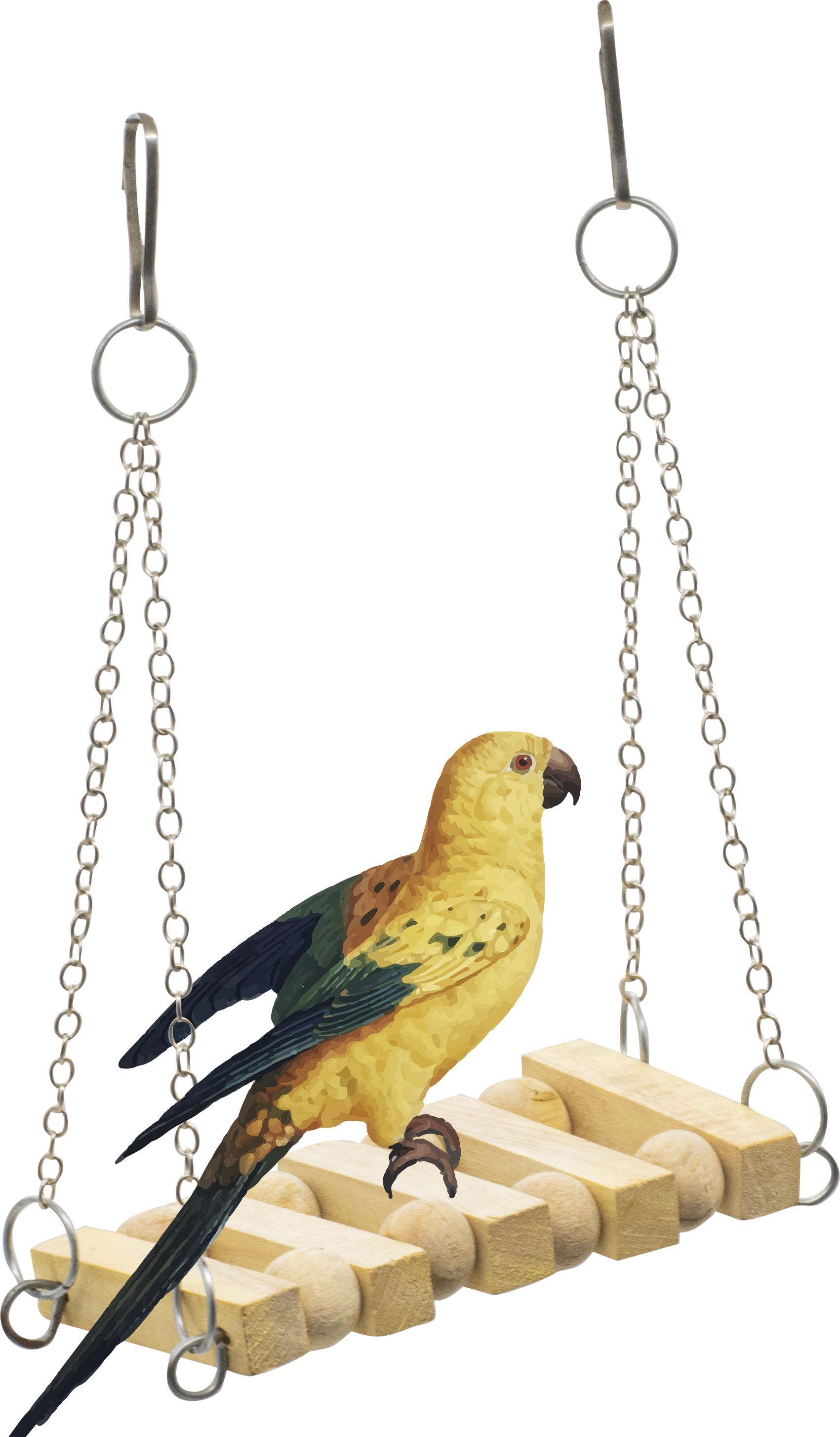petzoo Natural Wooden Swing Perch Resting Toy for Bird Cage For Parrots Wooden Chew Toy, Training Aid, Perch For Bird-picture-41