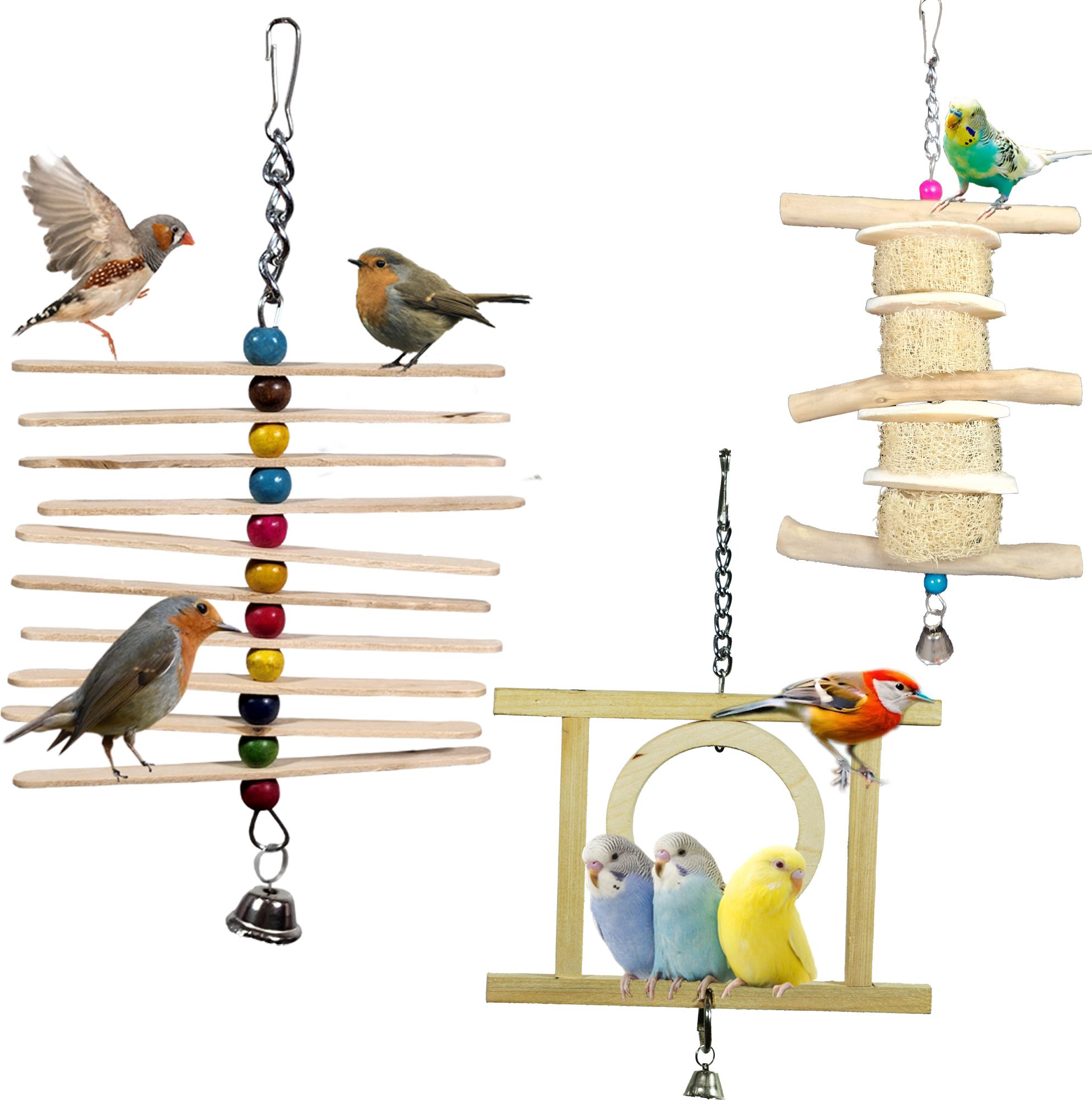 ADDY BIRD TOY | Set of 3 | Cuttlebone | Bird Treat | Foraging | Wooden Perch, Ball, Bone, Chew Toy, Stick, Training Aid For Bird-picture-34