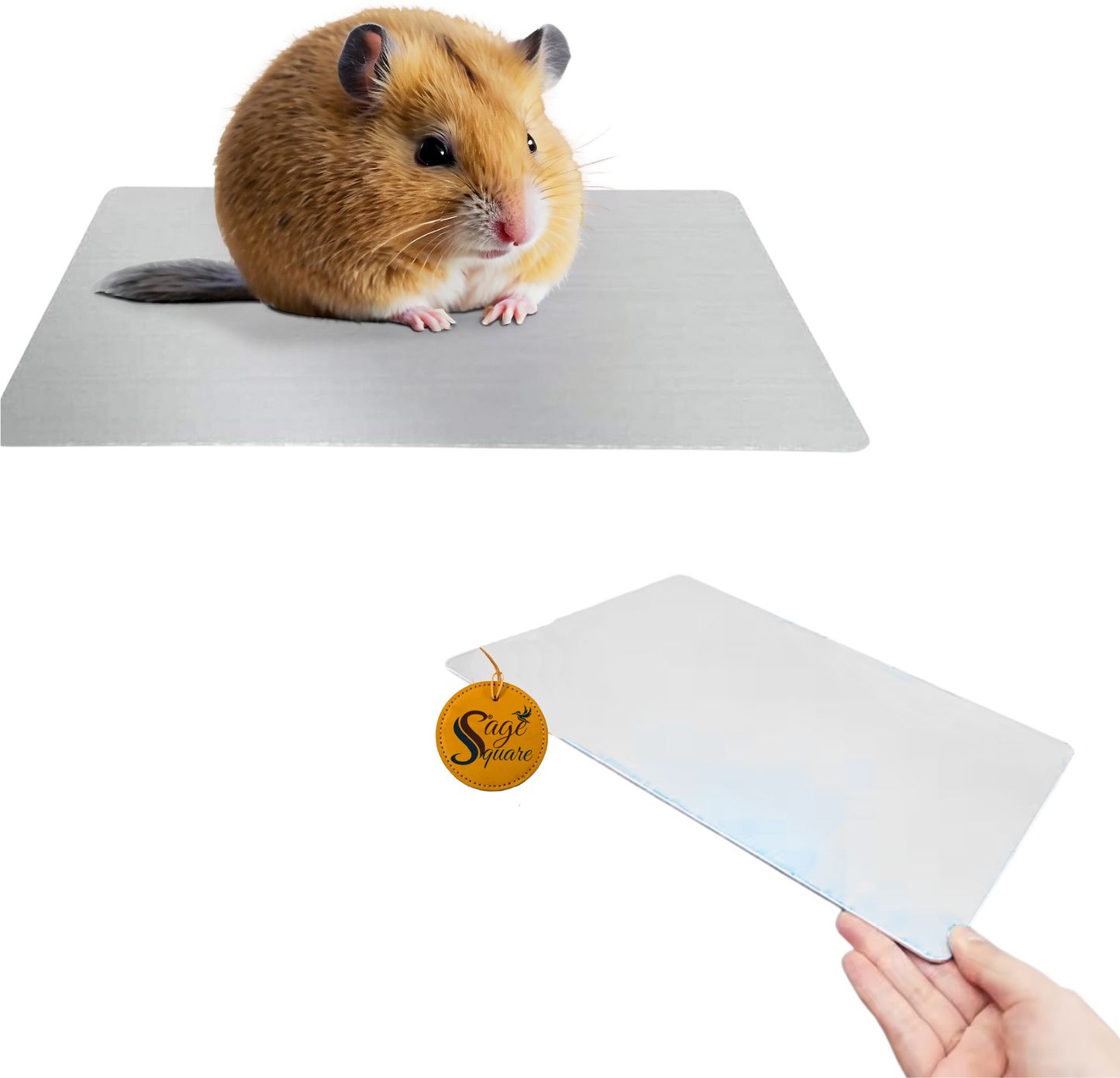 sage square Aluminium Cool Plate for Hamsters – Summer Heat Relief for Small Pets (6×10cm) Aluminium Training Aid For Hamster-picture-25