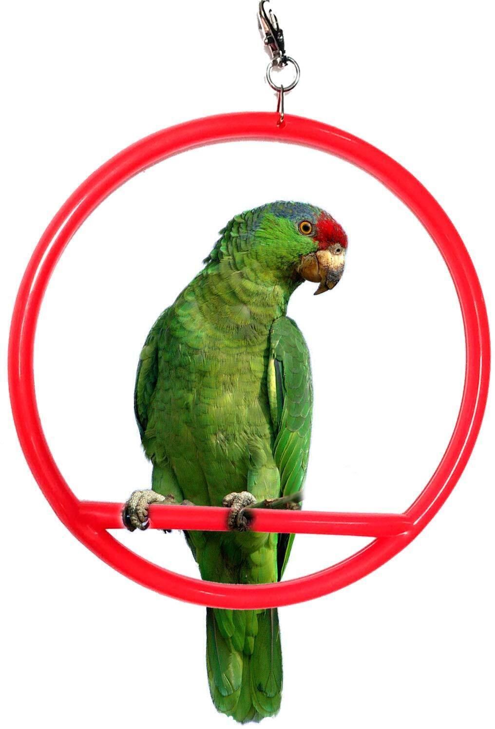 Anky Bird Hanging Rings Plastic Training Aid For Bird-picture-22