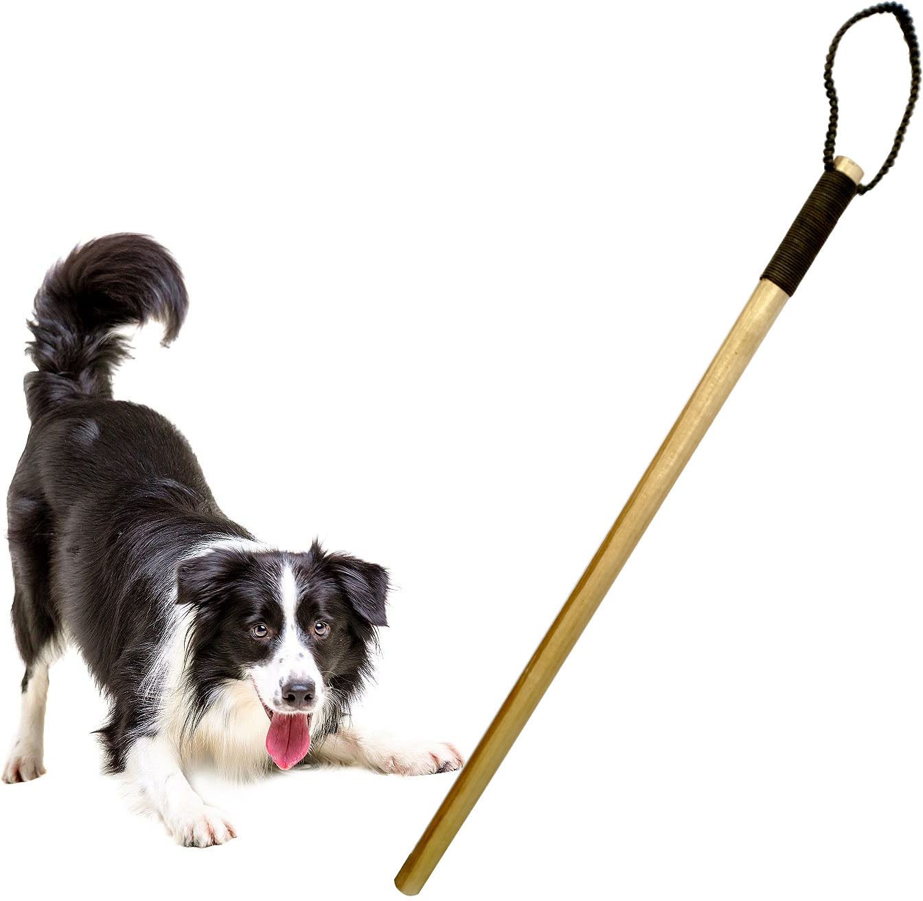 jainsons pet products Dog Training Wooden Stick Length 30 inch/ 2.5 Feet, Useful for Walking & Traning Wooden Stick, Training Aid For Dog-picture-29