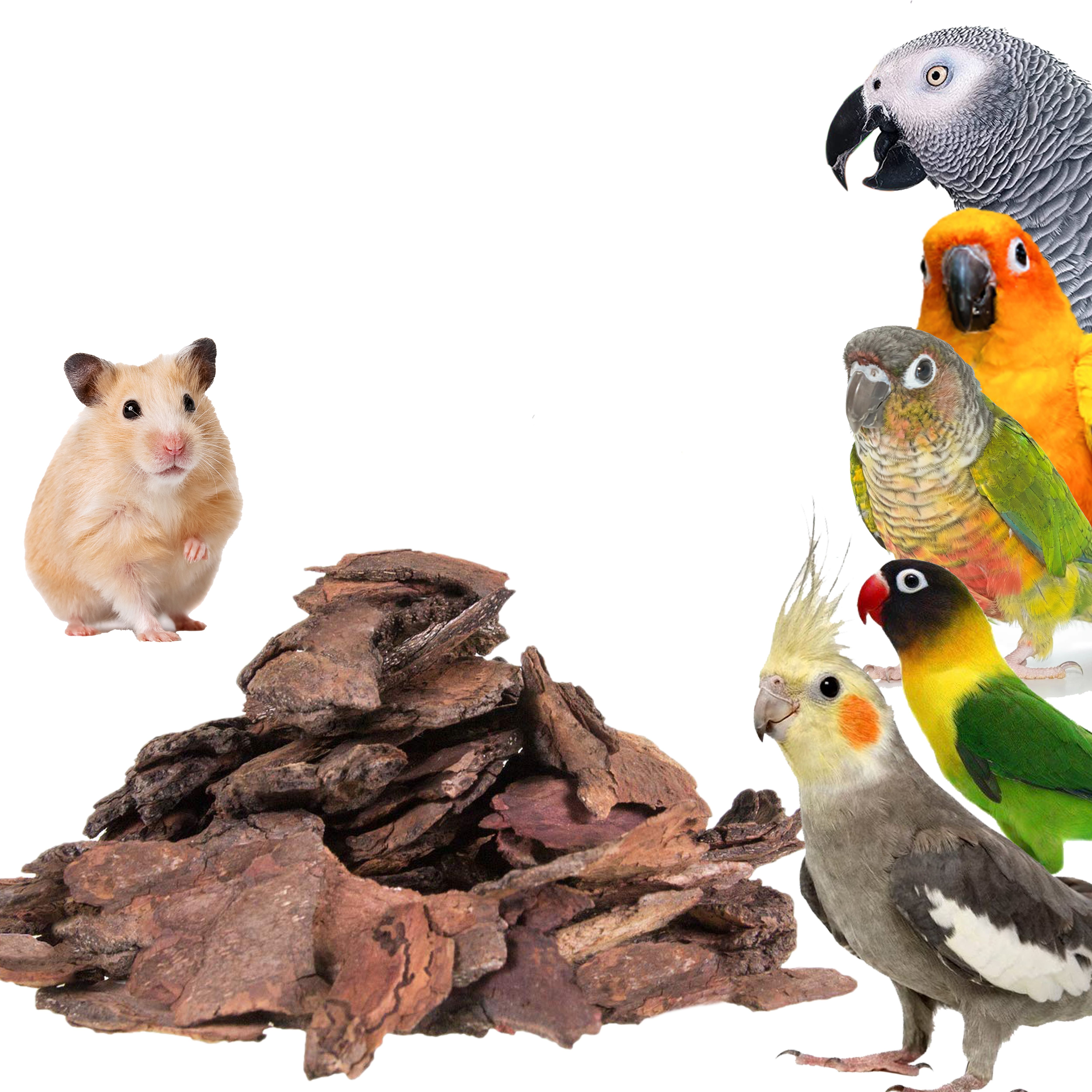 congo natural parrot treat 300gm Neem Chewing Bark for Wooden Chew Toy For Bird-picture-15