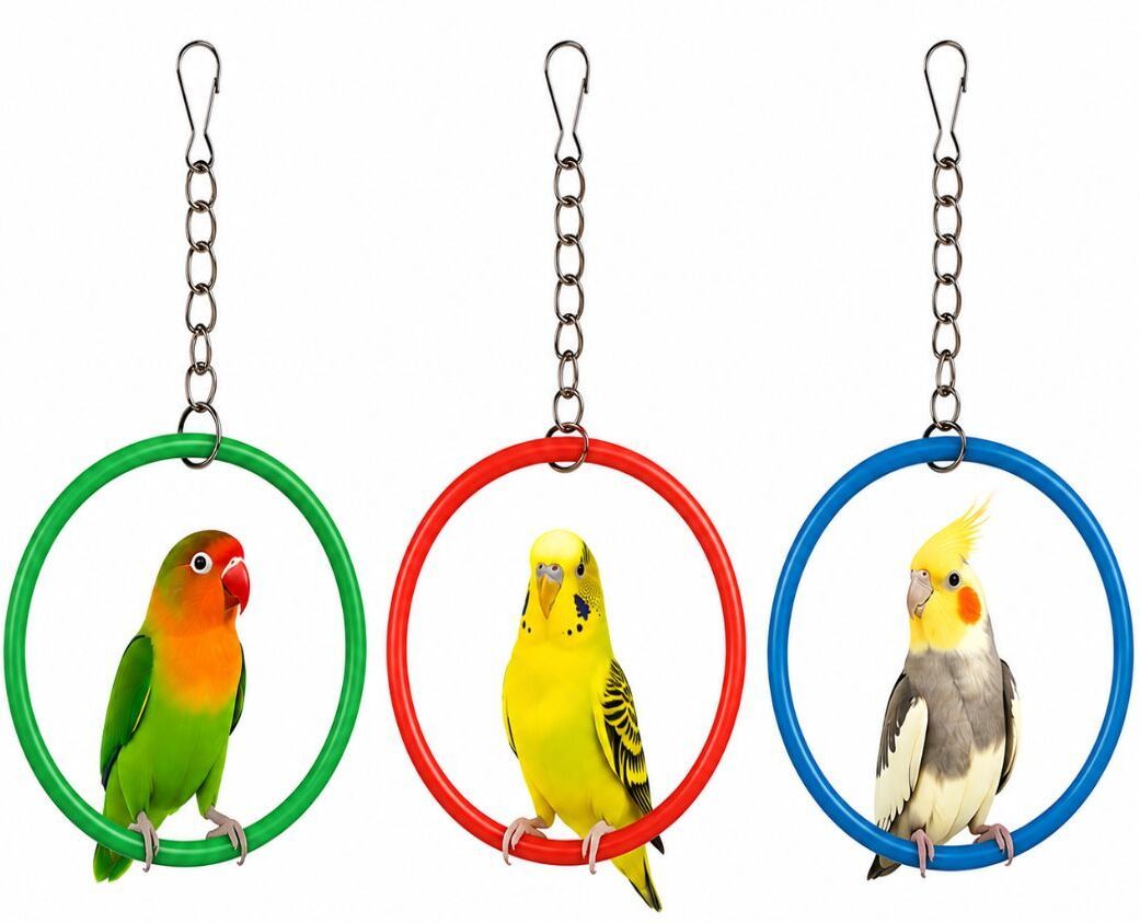 arkofurniture Bird Swing Toy Pack of 3 – Plastic Chew Ring for Budgies & More Plastic Training Aid For Bird-picture-28