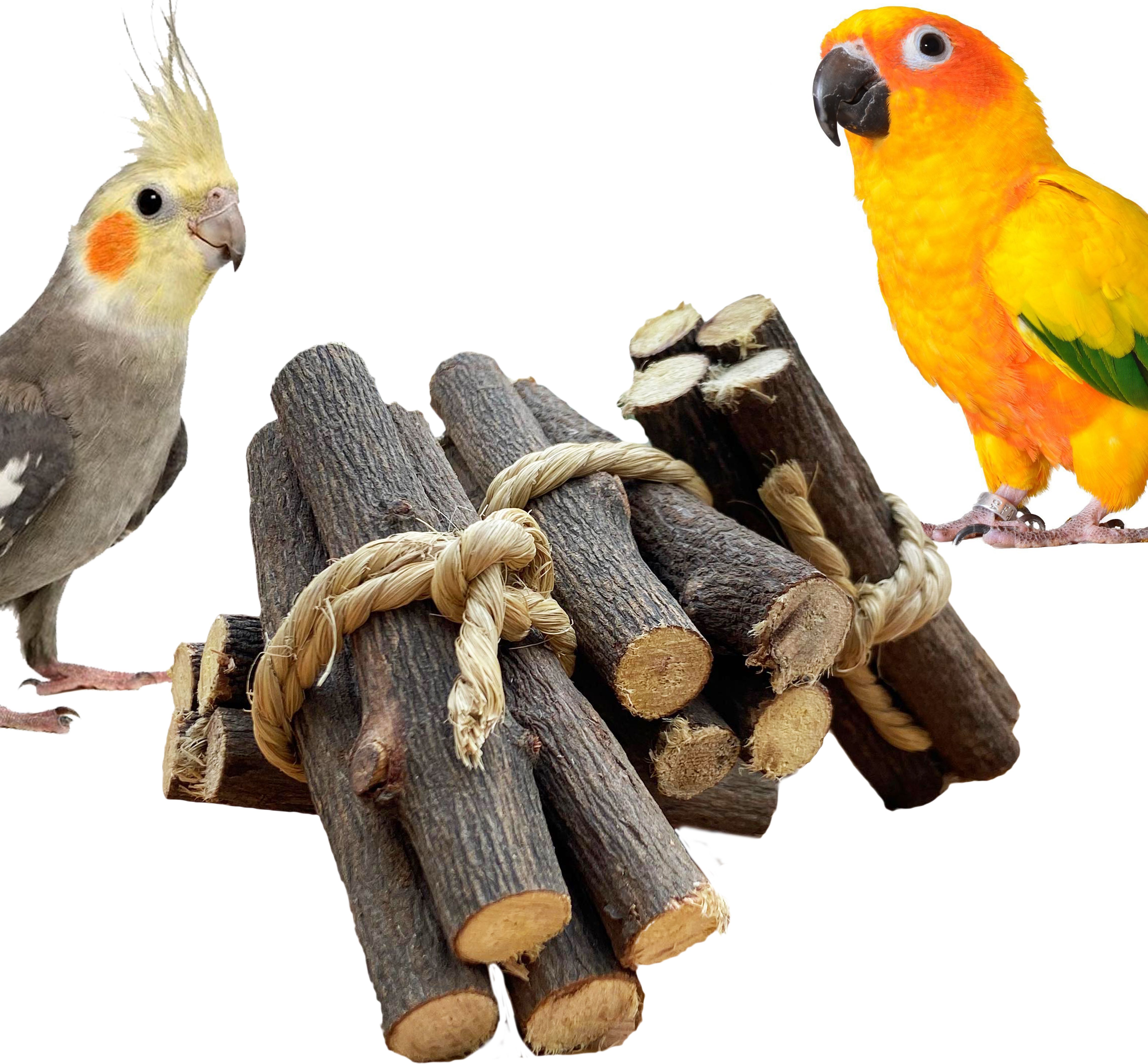 congo natural parrot treat 5 Pc. Bottlebrush Chewing Twigs for Wooden Chew Toy For Bird-picture-45