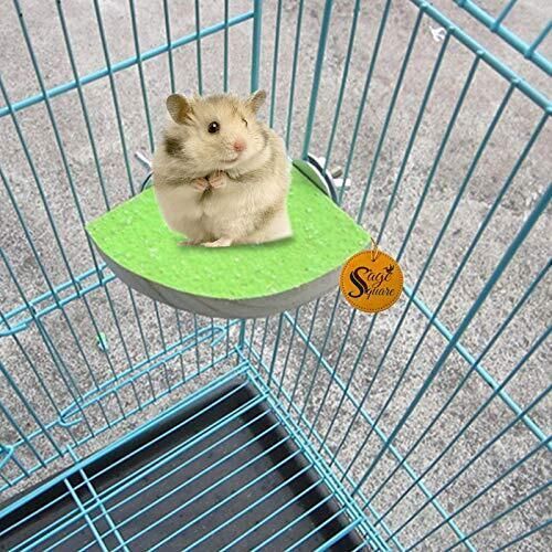 Wooden Training Aid, Stick For Hamster-image-15