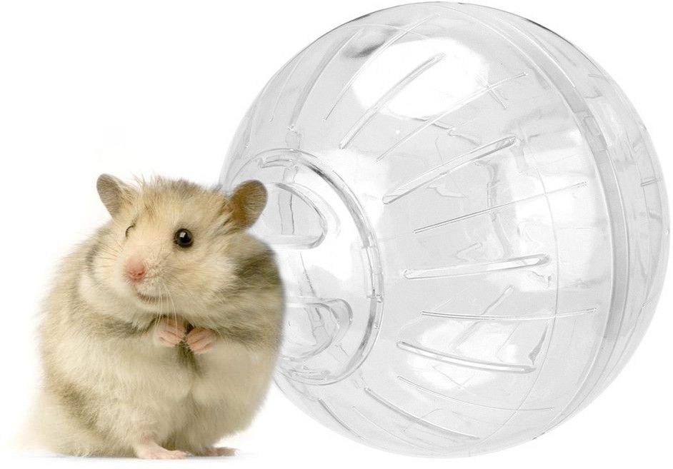 western era Cute Exercise Ball Jogging Wheel, Entertain, Hamsters & Small Animals Plastic Ball For Hamster-picture-15