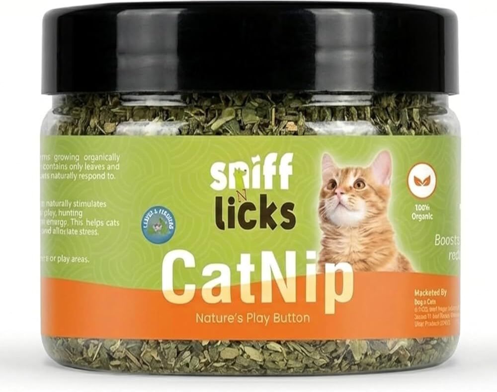 Natural & Organic Catnip for Cats&Kitten,Mint Fragrance Leave ,Healthy & Safe Catnip Cat Treat-image-19