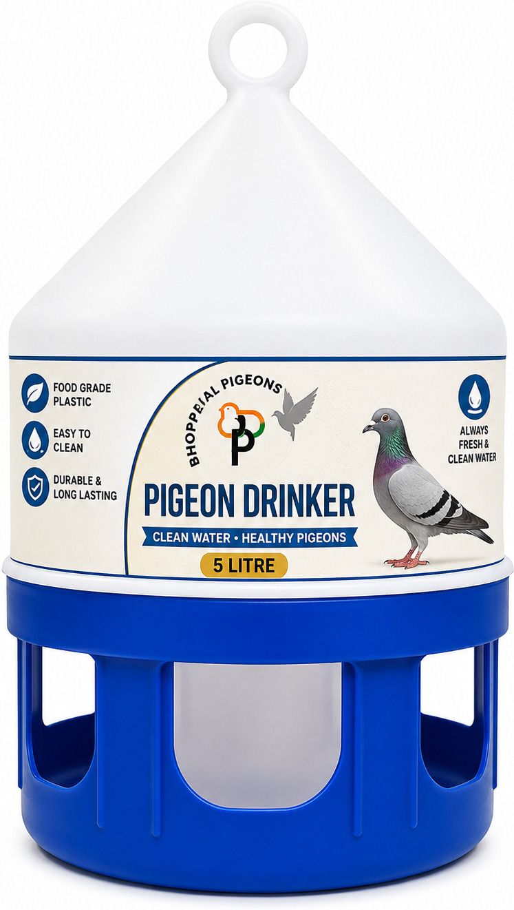 bhopal pigeons 5 L Water Trough-picture-30