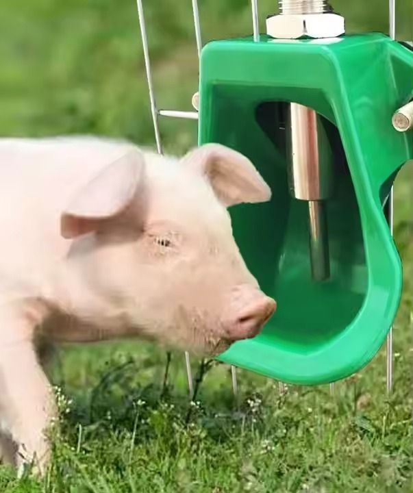 shakya green 1 L Water Trough-picture-32