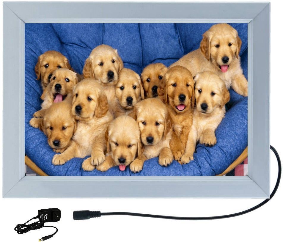 anshul internet DOG FAMILY 18 inch ALUMINIUM LED FRAME-picture-12