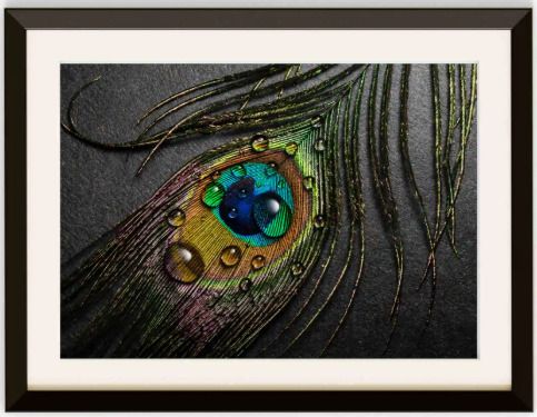 Peacock Feather Wall Frame for Home Decor 8 inch Digital-image-19