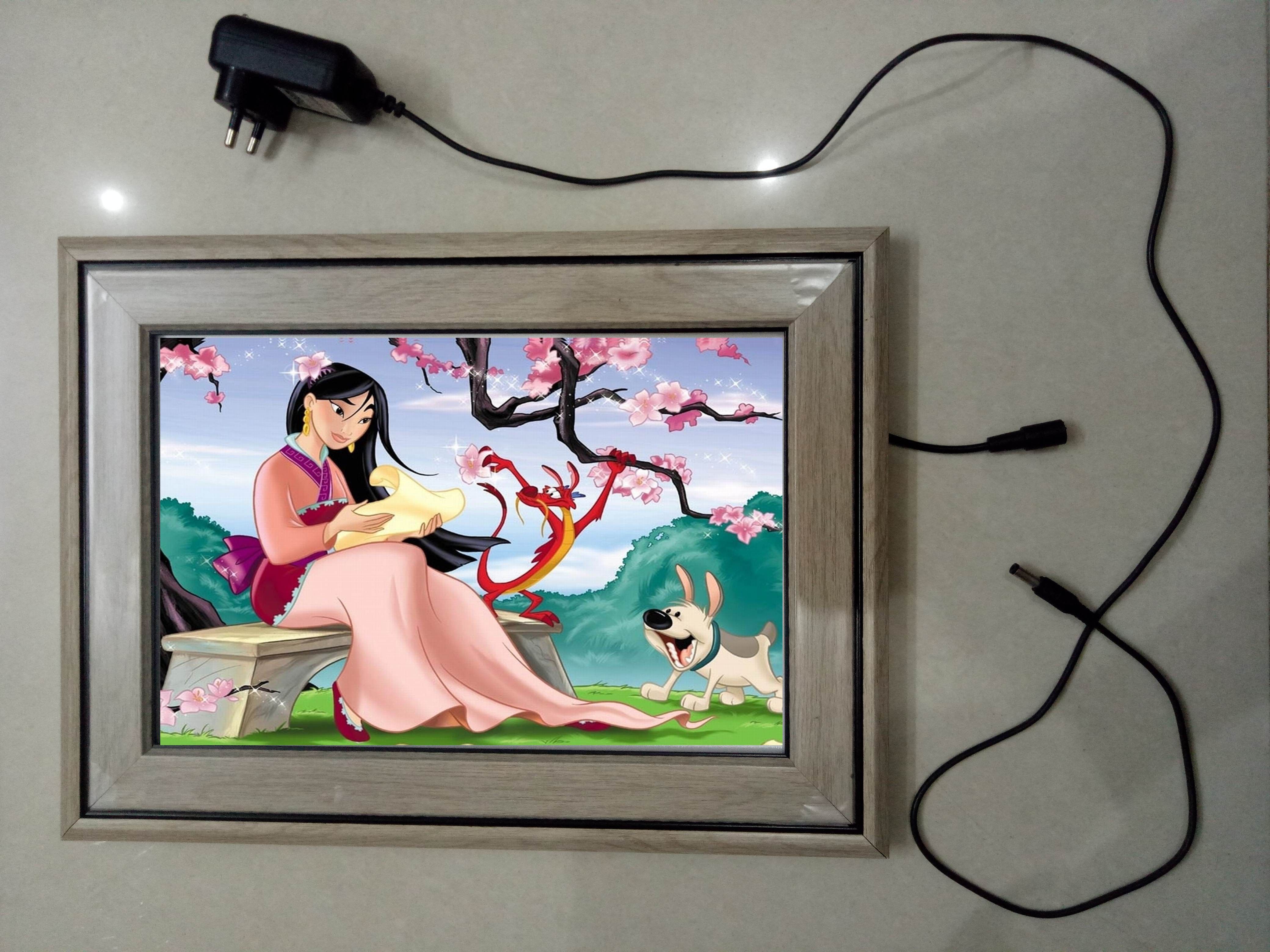 MODAL NO 04 CINDERELLA 18 inch ELECTRONIC LED FRAME-image-34