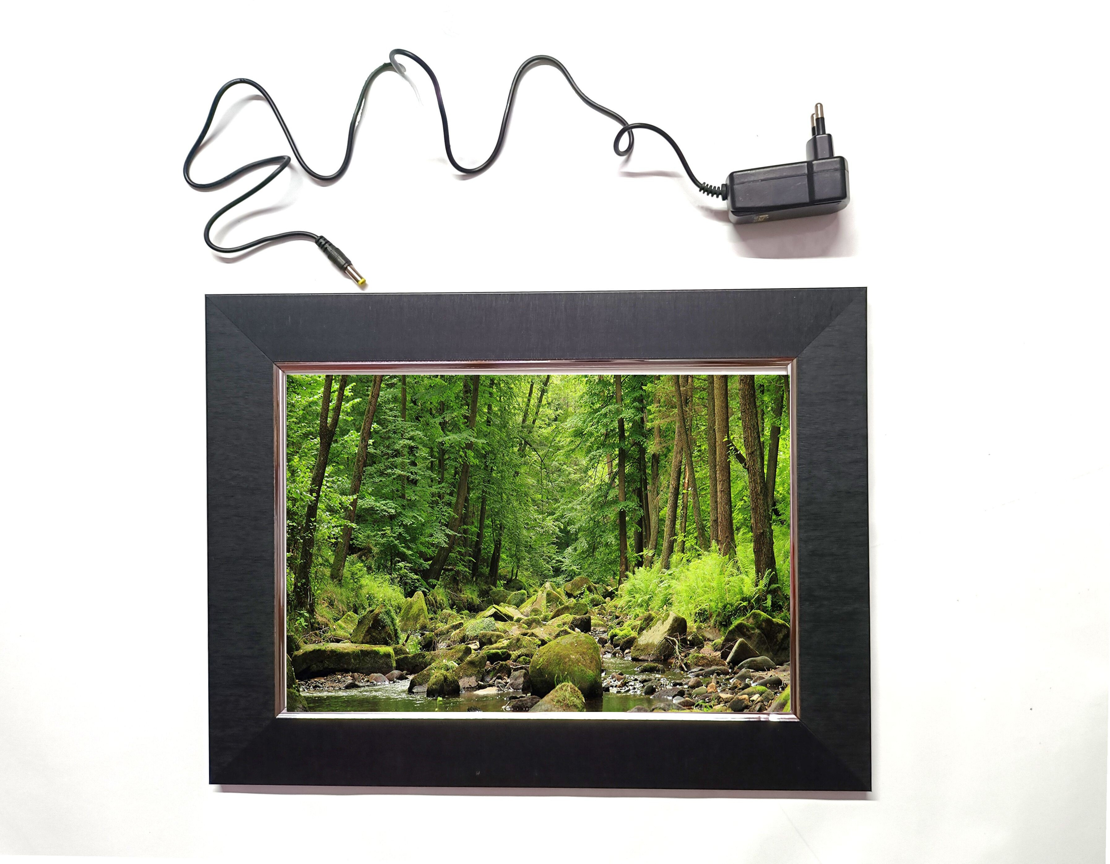 anshul internet point AMAZON FOREST LED FRAME 11.5 BY 15.55 15.5 inch LED PHOTO FRAME image 1