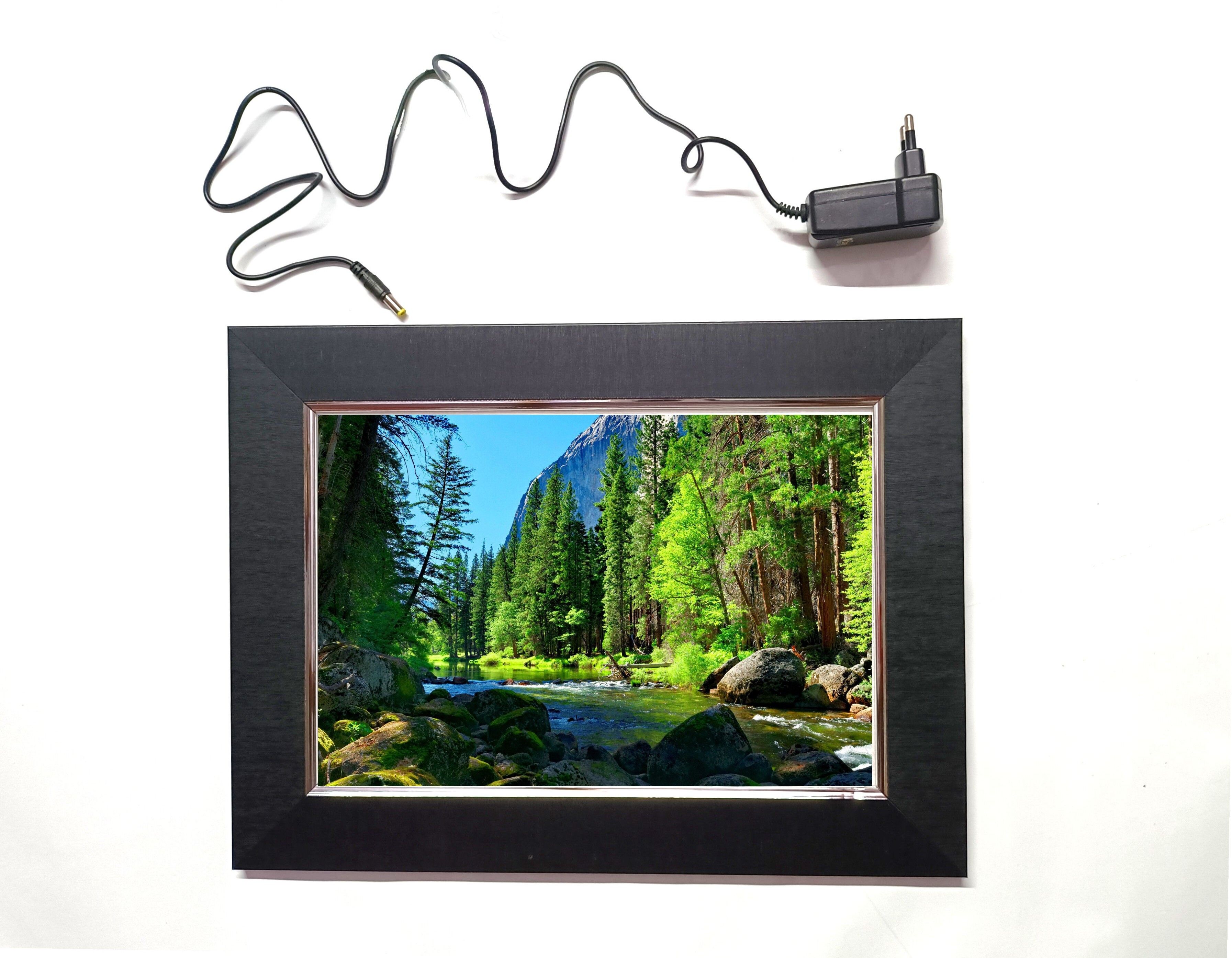 41 AMAZON FOREST 2 LED FRAME 11.5 BY 15.55 15.5 inch WALL HANGING-image-43