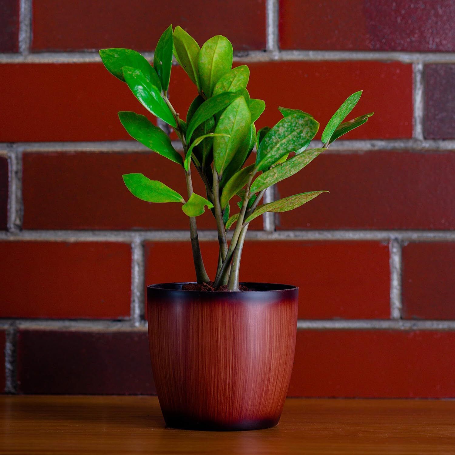 Gardening Flower Pots - 5 Inch Pots | Decorative Indoor Outdoor Planters/Pots Plant Container Set-image-18