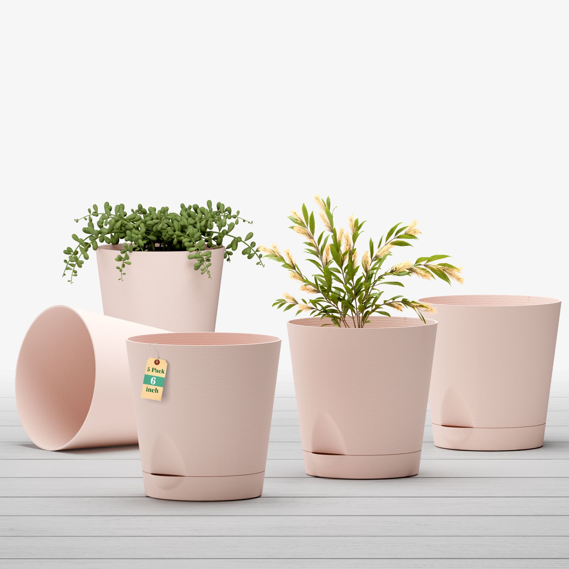 Flower Pot for Living Room-Office | Planters for Home-Office-Lawns & Garden Plant Container Set-image-27
