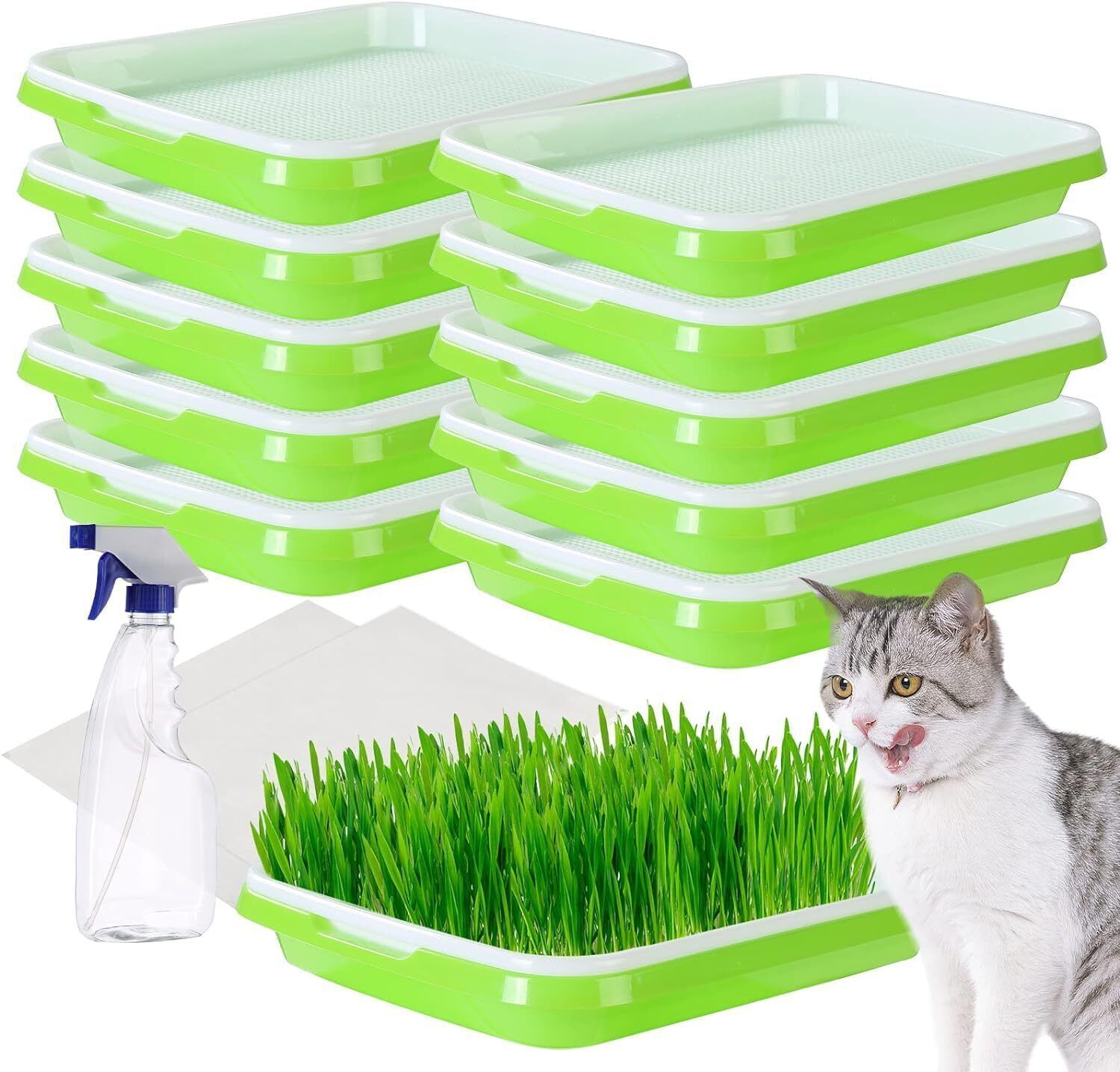 Seed Sprouter Tray Germination Tray BAP FREE Nursery tray for planting great Plant Container Set-image-6