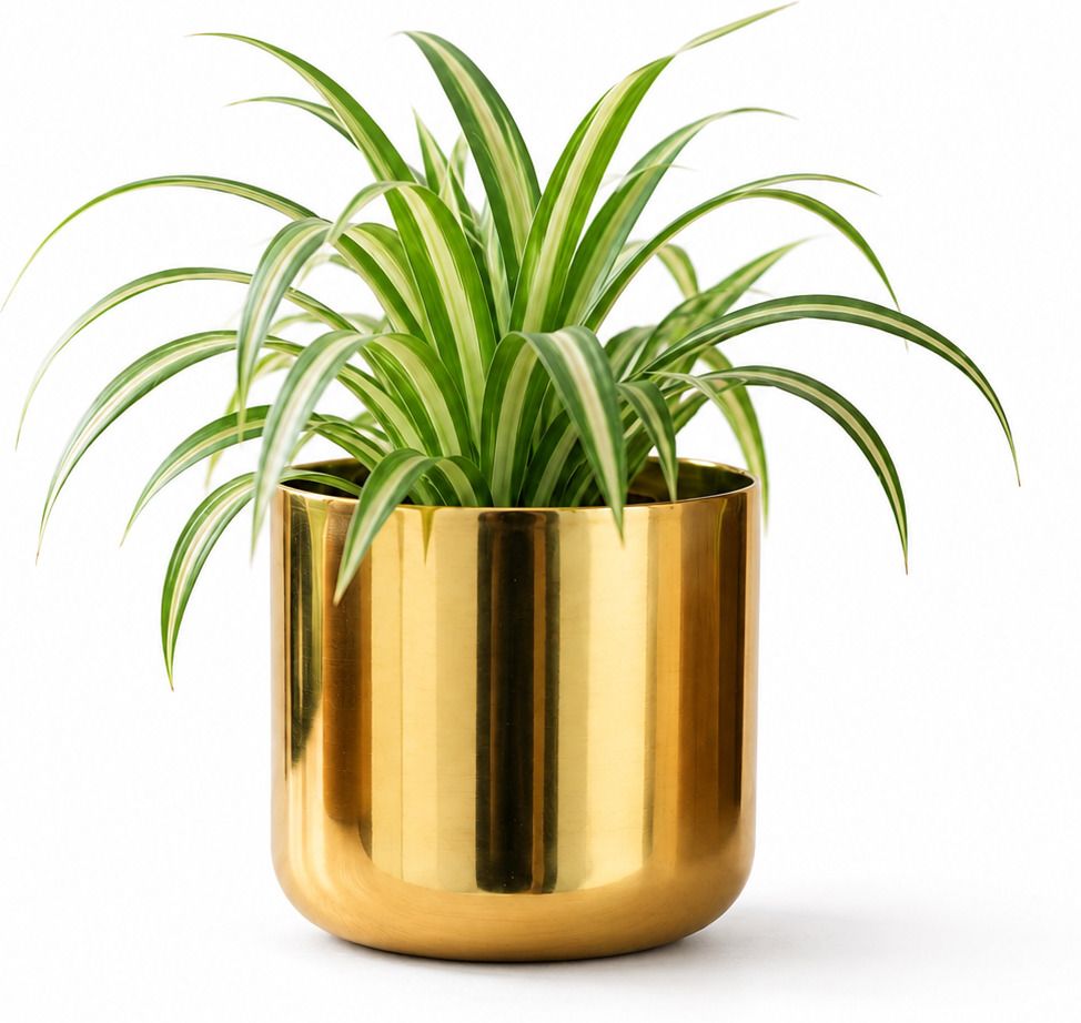 Golden Flower Pot for Indoor Plants Plant Container Set-image-44
