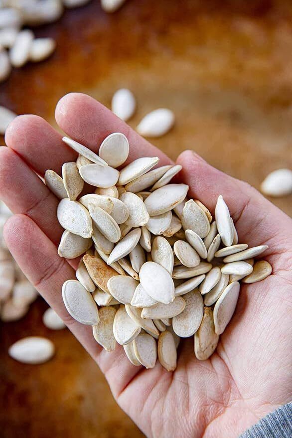 Indian Hybrid Pumpkin Seeds / Kaddu Beej / Kumro Seed-image-7