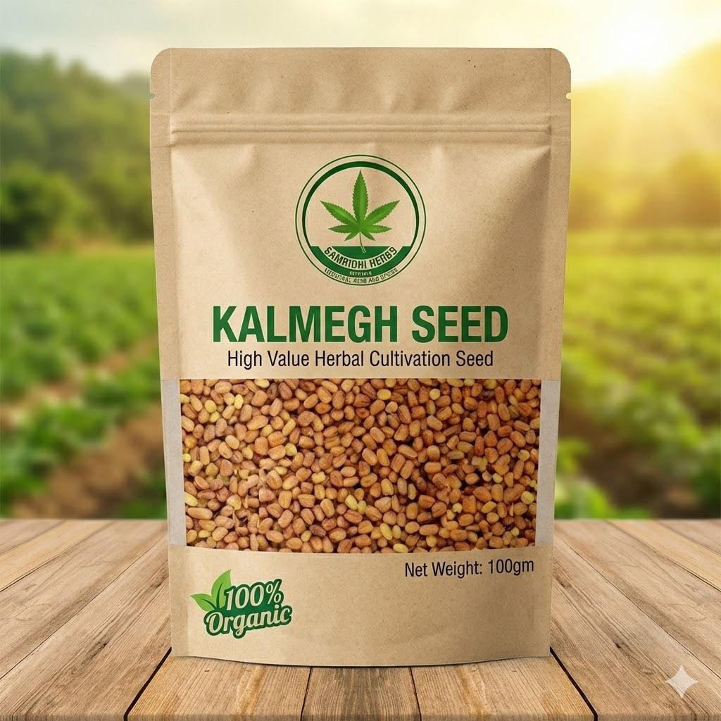 samridhi herbs SAMRIDHI HERBS, KALMEGH SEED, Green Chirayta, Nilavembu, BhuiNeem, Bitter Stick Seed-picture-19