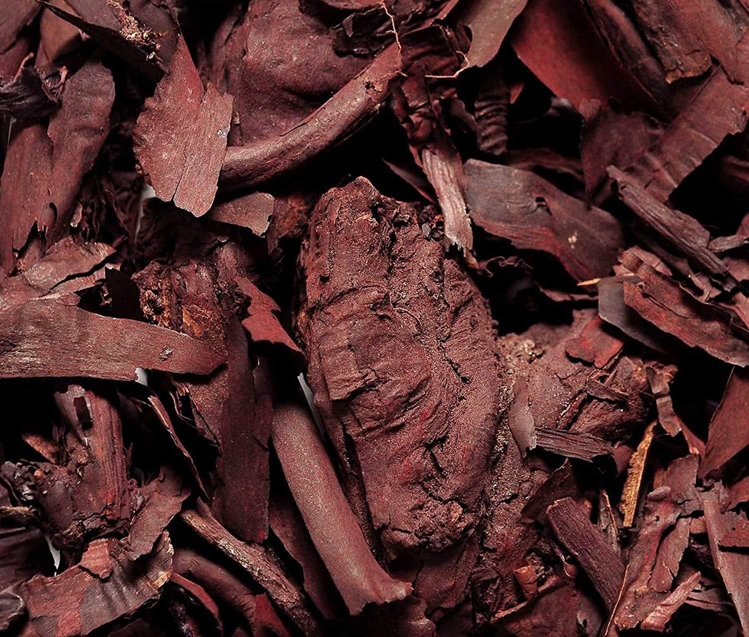 Organic ratanjot root, ratanjyot jadd, jatropha curcas Seed