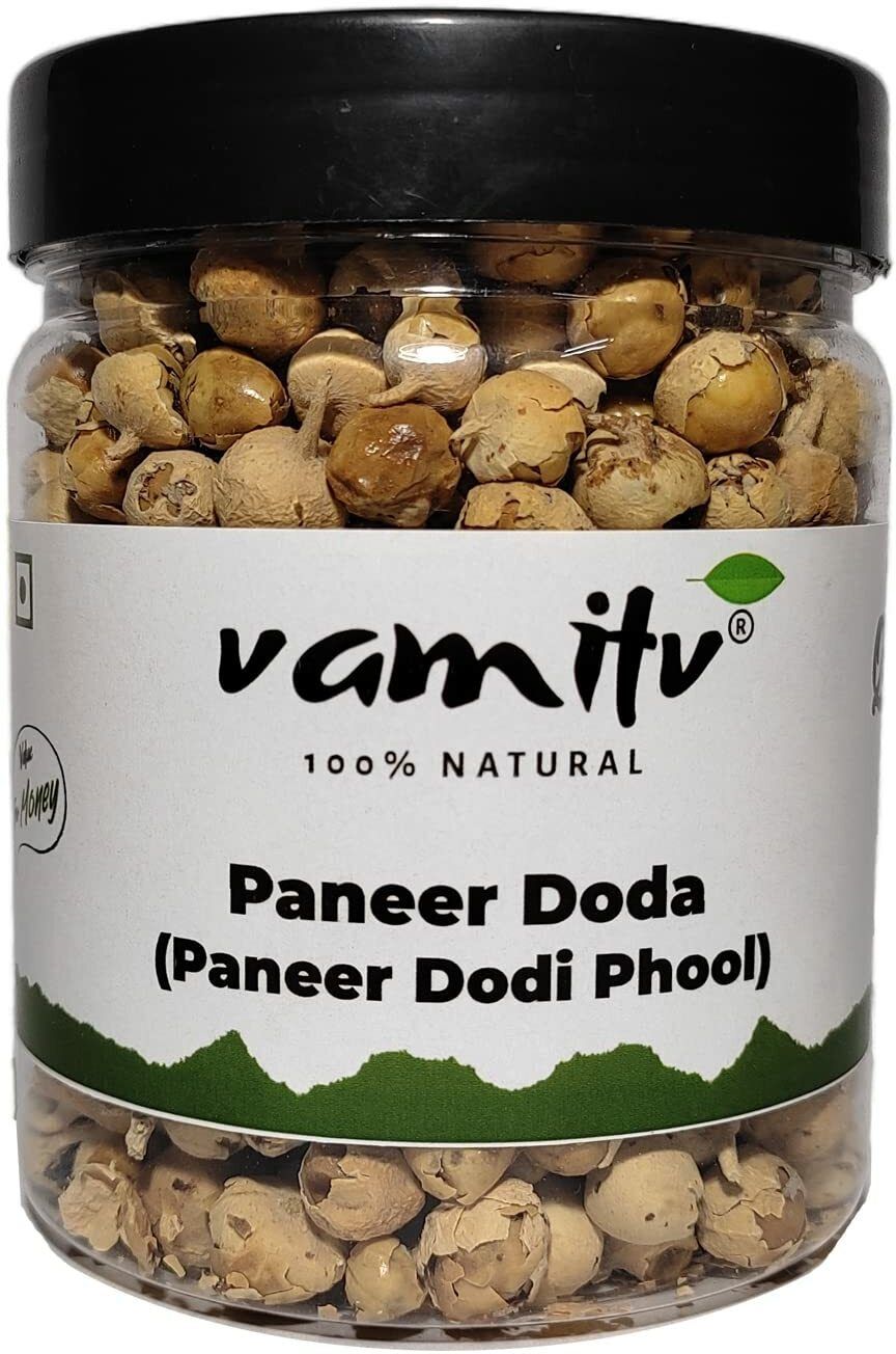Paneer Dodi | Paneer Phool | Withania Coagulan | Paneer Doda150gm | 100% Natural Seed-image-16