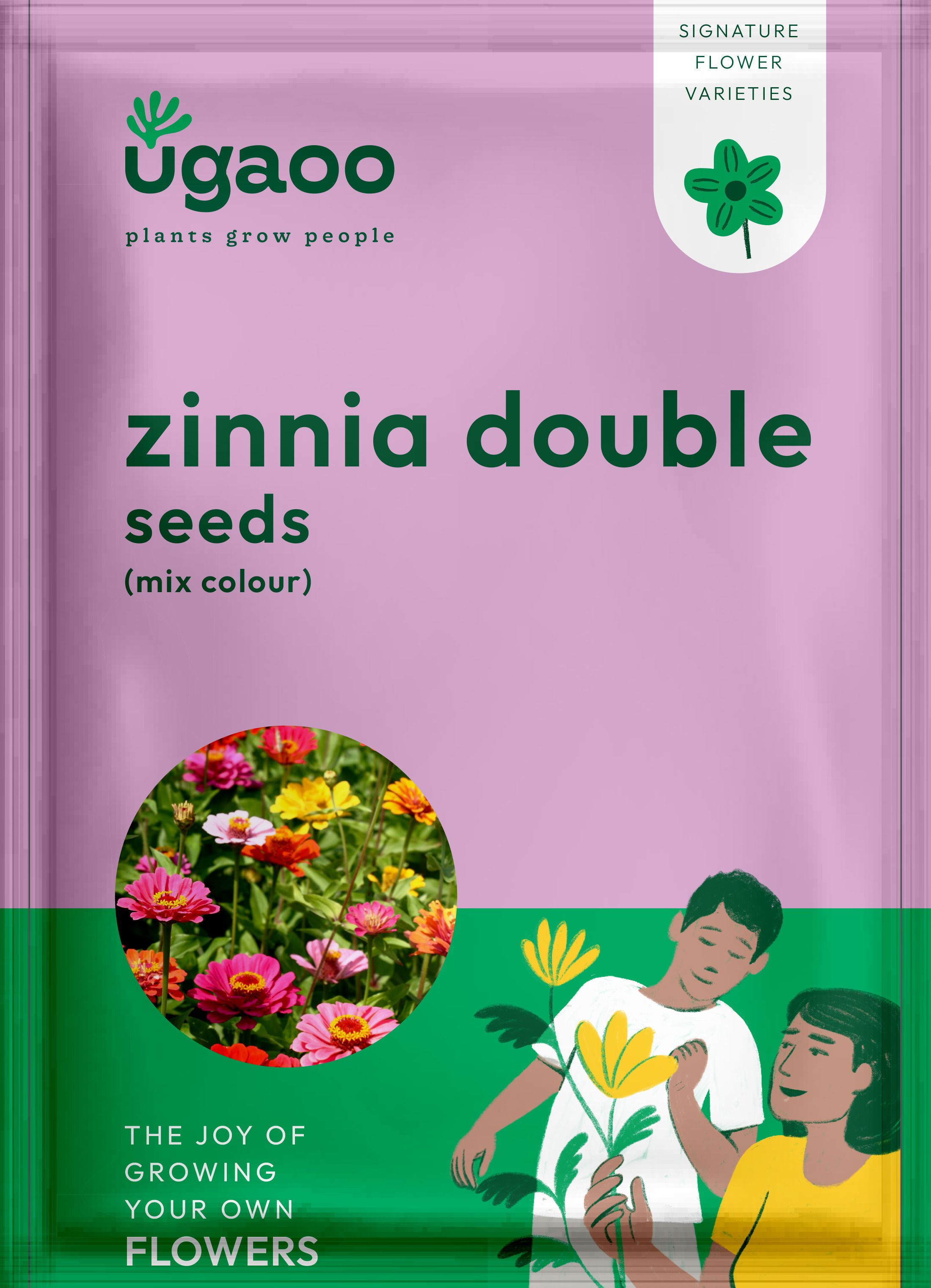 Zinnia Double Flower Seeds Seed-image-22