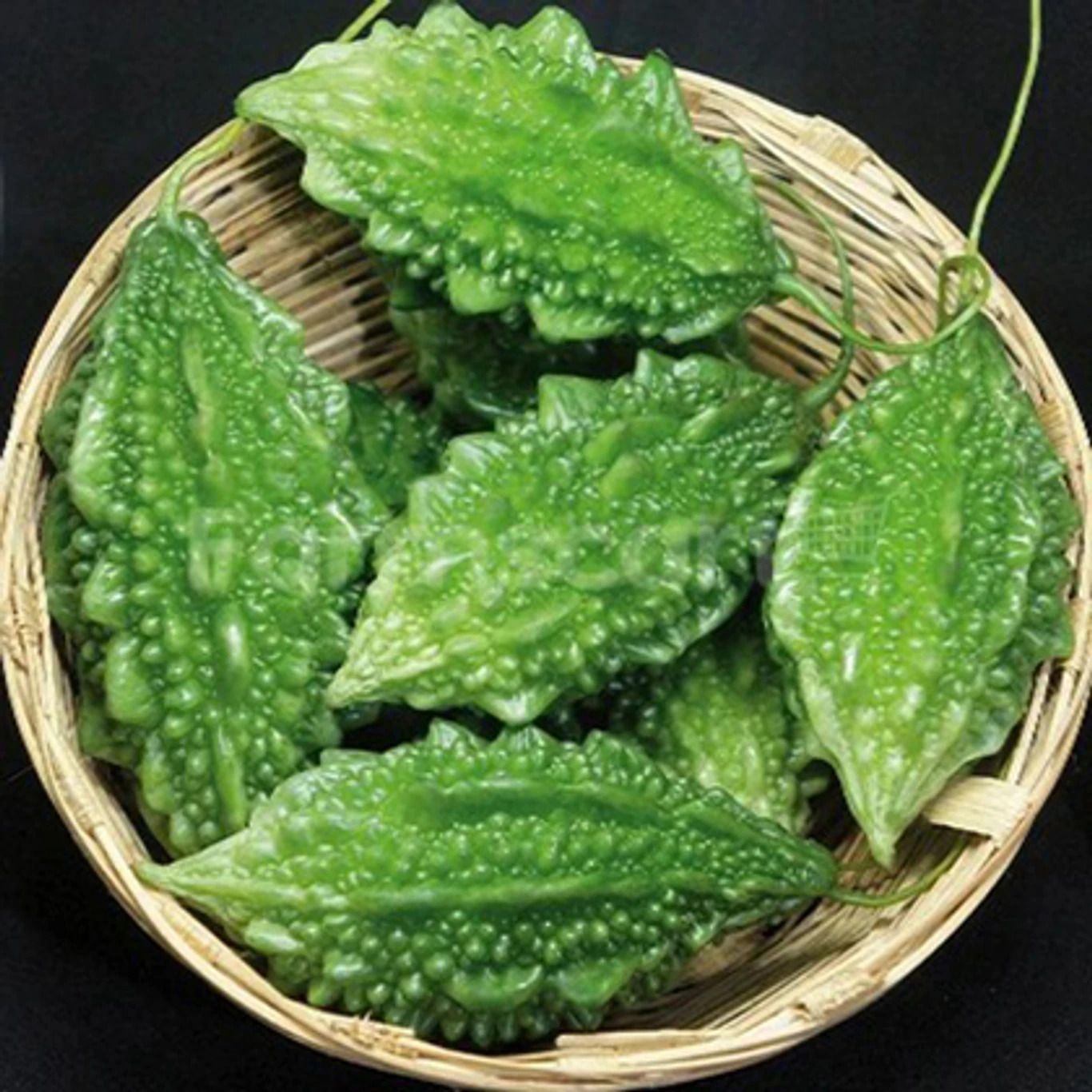 deys agro Bitter Guard seeds,karela Organic Seed for hybrid Gardening Seed-picture-29