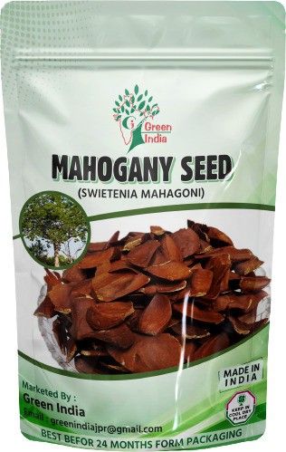 Sky fruit seeds -Mahogany Seeds mahogany seeds, mahogany seeds-25 Seed Seed-image-26