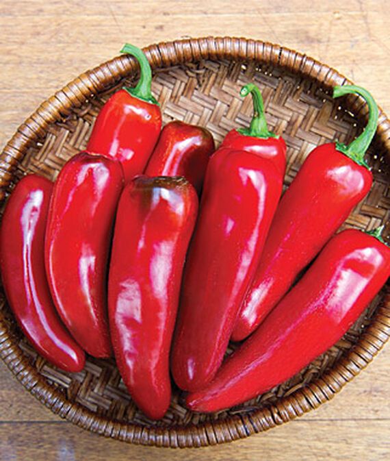 vibex Pepper, Hot, Born to be Mild Hybrid Seed-picture-23