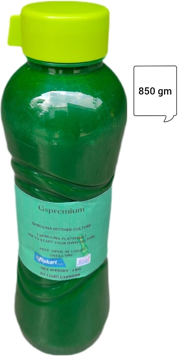 gspremium Spirulina mother culture Seed-picture-23