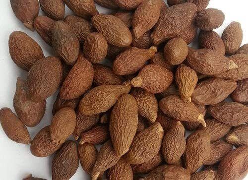 Niranjan Phal 10g | 100% Natural Malva Nuts | Supports Digestion Seed-image-25