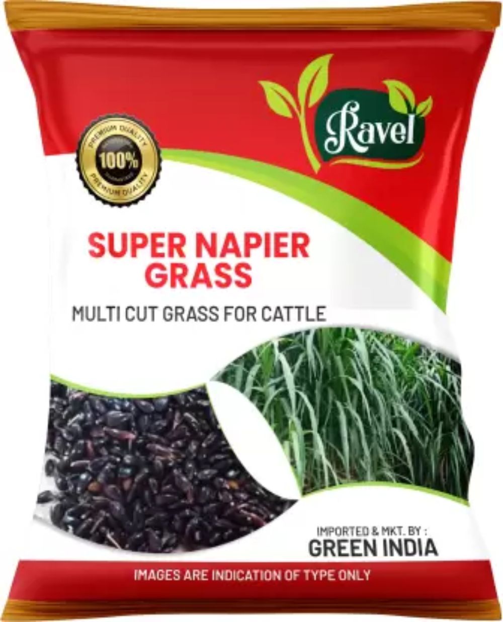SUPER NAPIER GRASS SEED HIGH YIELD 1KG MULTI CUT, TALL GROWING GRASS SEED Seed-image-9