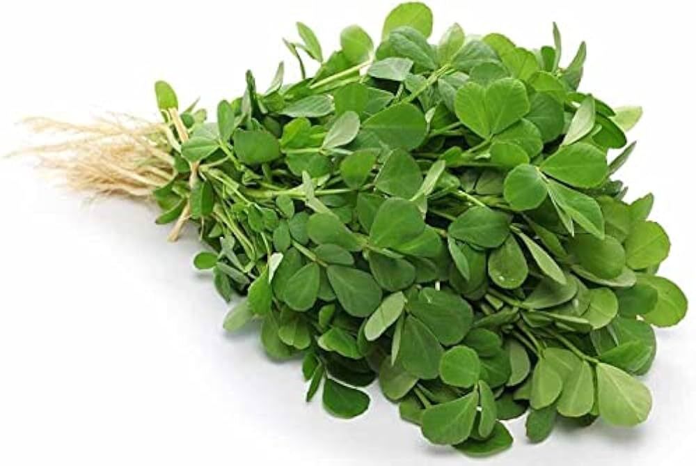 Methi Mota Beej large leaf Vegetable Seed-image-32